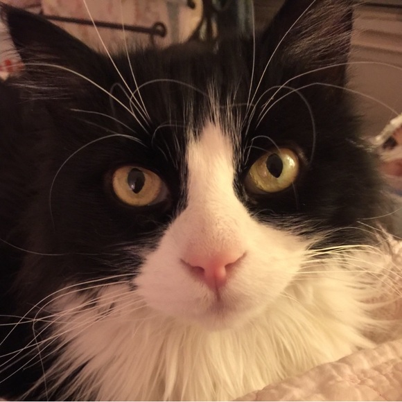 LUVKITTY IS LIVE! - Picture 9 of 15